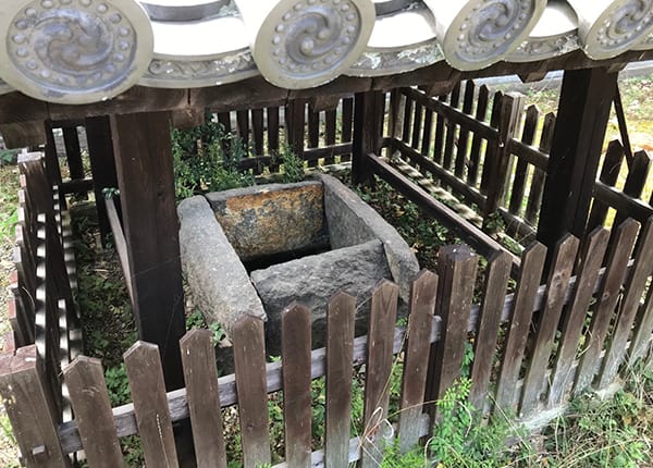 a赤染井戸